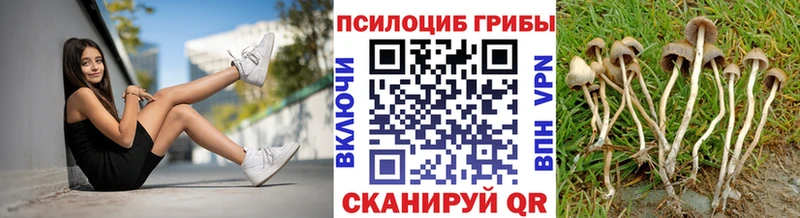 Псилоцибиновые грибы Cubensis  hydra ССЫЛКА  Бежецк  где продают  