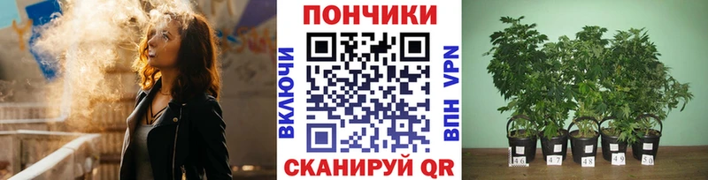 Конопля конопля  где найти   Бежецк 